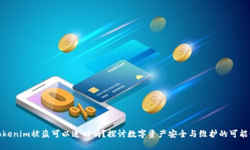 Tokenim被盗可以追回吗？探讨数字资产安全与维护的可能性