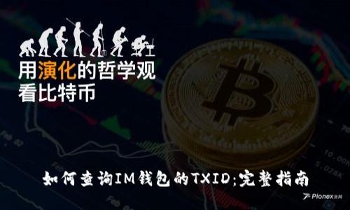 如何查询IM钱包的TXID:完整指南