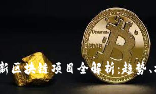 2023年最新区块链项目全解析:趋势、机会与风险