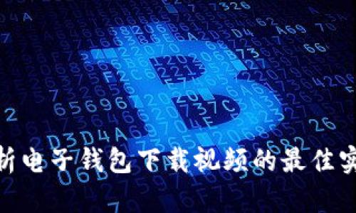 : 全面解析电子钱包下载视频的最佳实践与策略