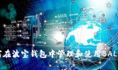 如何在波宝钱包中管理和使用BAL代币