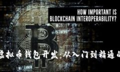 全面解析虚拟币钱包开发:从入门到精通的视频