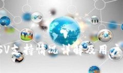 imToken与BSV支持情况详解及用户常见问题解答