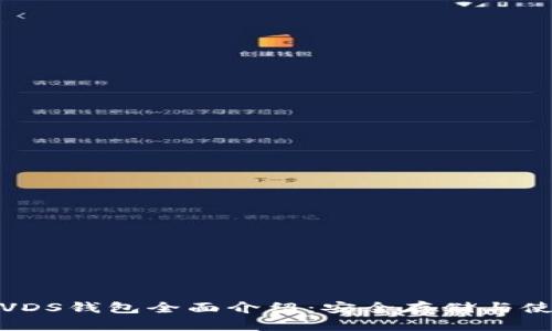 数字币VDS钱包全面介绍:安全存储与使用技巧