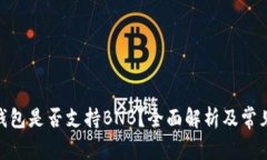imToken钱包是否支持BNB?全面解析及常见问题解答