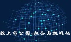区块链A股上市公司:机会与挑战的深度解析