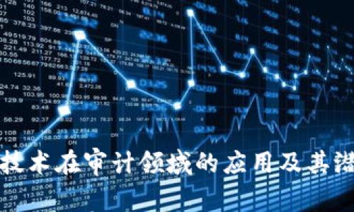 区块链技术在审计领域的应用及其潜在影响