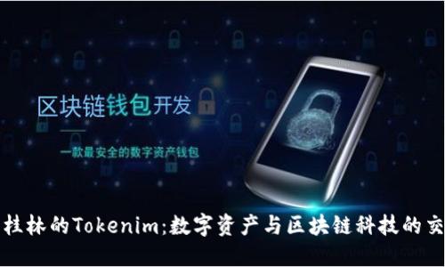 探索桂林的Tokenim：数字资产与区块链科技的交汇点
