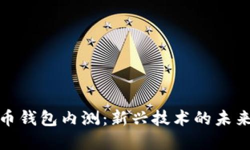 数字货币钱包内测：新兴技术的未来与挑战