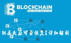 Tokenim密钥丢失后可否恢复?详细解析与解决方案