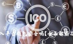 虚拟币放入平台钱包安全吗？全面解析及风险防