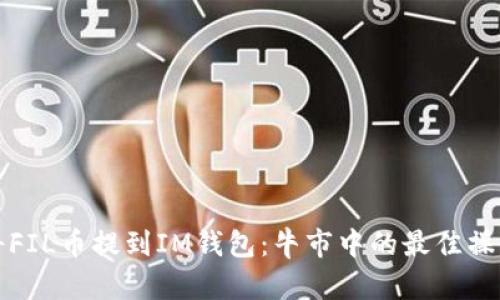 如何将FIL币提到IM钱包:牛市中的最佳操作指南