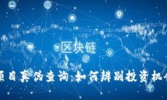 区块链项目真伪查询:如何辨别投资机会与风险