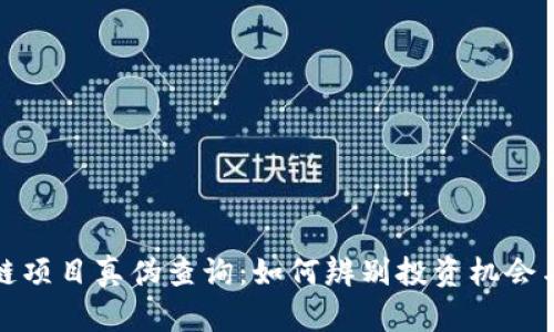 区块链项目真伪查询：如何辨别投资机会与风险