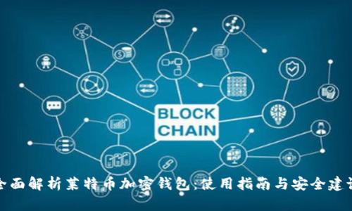 全面解析莱特币加密钱包：使用指南与安全建议