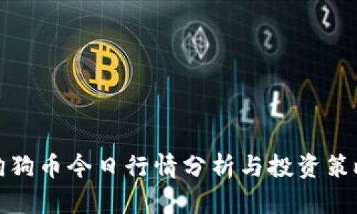 狗狗币今日行情分析与投资策略