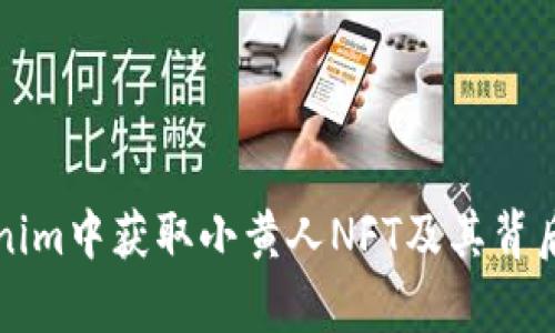 如何在Tokenim中获取小黄人NFT及其背后的价值分析