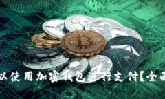 美国是否可以使用加密钱包进行支付？全面分析