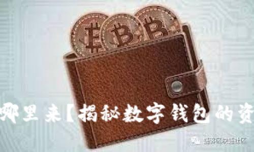 数字钱包里的钱从哪里来?揭秘数字钱包的资金来源与运作机制