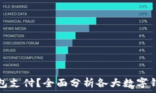   
中国能用哪种数字钱包支付？全面分析各大数字钱包的优势与适用范围
