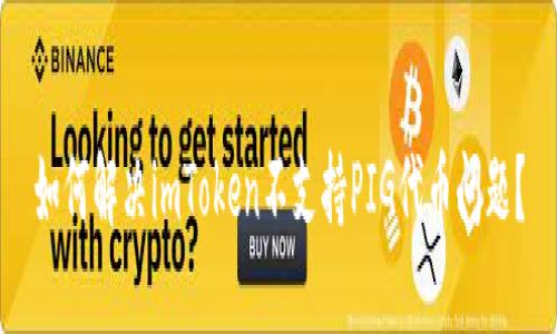 如何解决imToken不支持PIG代币问题?