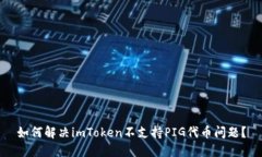 如何解决imToken不支持PIG代币问题？