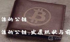 中国合法的公链中国合法的公链：发展现状与前
