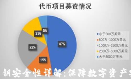 
imToken私钥安全性详解：保障数字资产安全的关键