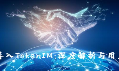 货币导入TokenIM：深度解析与用户指南
