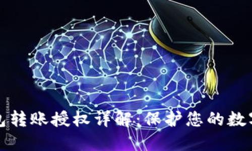 区块链钱包转账授权详解:保护您的数字资产安全
