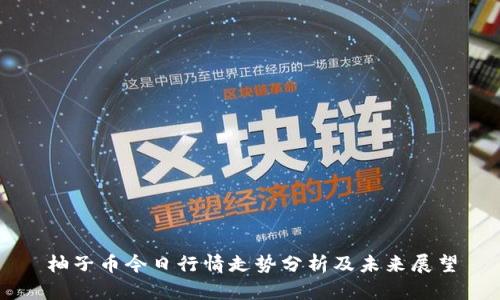 柚子币今日行情走势分析及未来展望