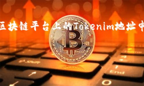 该问题需要调整或更具体的信息才能提供准确的内容。如果您是在询问关于某个特定区块链平台上的Tokenim地址申请的步骤和信息，请提供更多详细信息。然而，我可以提供一个一般性的提纲供您参考。


如何申请Tokenim地址以及申请方式