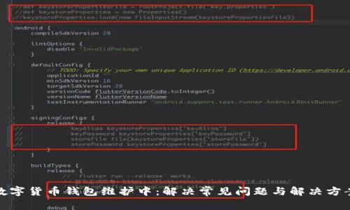 数字货币钱包维护中:解决常见问题与解决方案