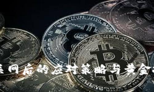 虚拟币钱包关网后的应对策略与黄金投资机会分析