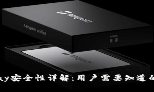 BitPay安全性详解:用户需要知道的一切