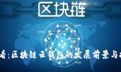 2025必看：区块链云钱包的发展前景与投资机会