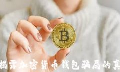 2025必看：揭露加密货币钱包骗局的真实案例分析
