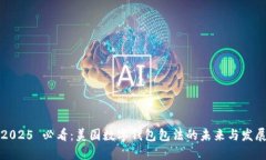 2025 必看：美国数字钱包包法的未来与发展