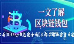 2025必看！BitPay钱包安全吗？立即了解加密货币安