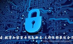 2025必看：数字加密货币钱包排名，立即选择最适