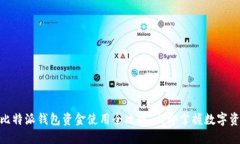 2025必看！比特派钱包资金使用全攻略，立即掌握
