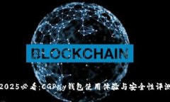 2025必看：CGPay钱包使用体验与安全性评测