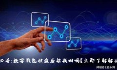 2025必看：数字钱包被盗后能找回吗？立即了解解