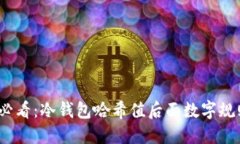 2025必看：冷钱包哈希值后面数字规则详解