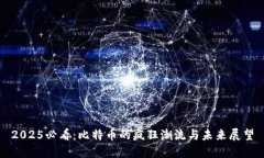 2025必看：比特币的疯狂潮流与未来展望