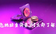 如何用区块链钱包地址查询资产？立即了解2025必