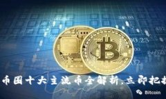 2025必看：币圈十大主流币全解析，立即把握投资