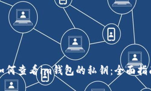 如何查看im钱包的私钥：全面指南