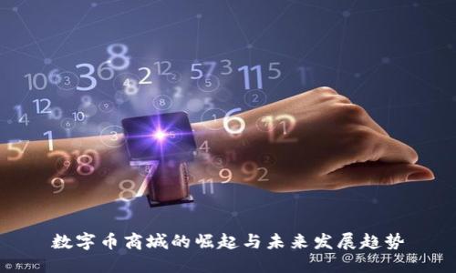 数字币商城的崛起与未来发展趋势
