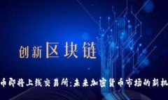 Pi币即将上线交易所：未来加密货币市场的新机会